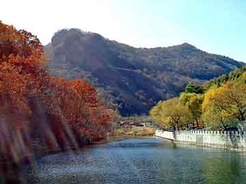 新澳天天开奖资料大全旅游团，销售光缆